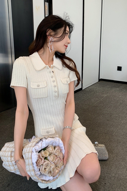 Rosa | Şık Mini Elbise
